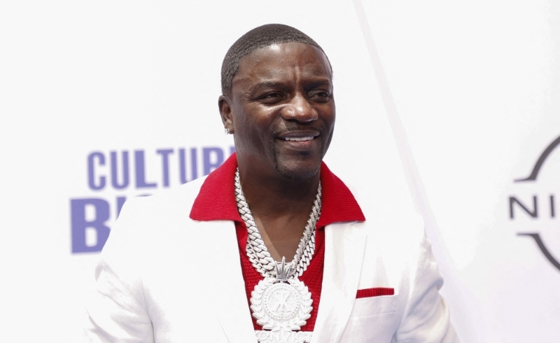 Senegal : Dakar set to call time on Akon's smart city project - 05/07 ...