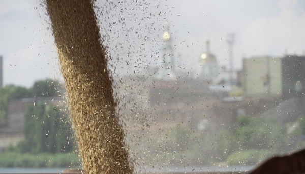 Grains are loaded onto a ship at the Russian port of Rostov-on-Don on 26 July 2022