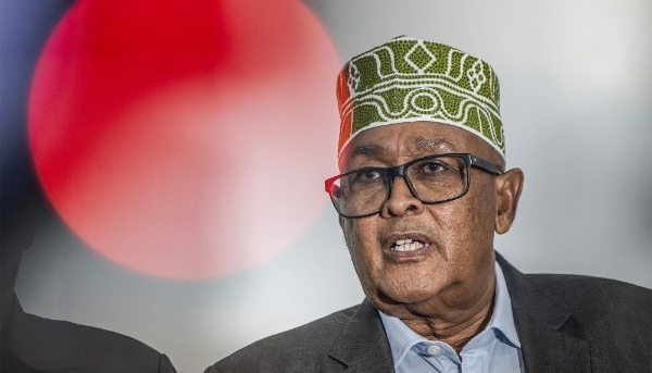 Somaliland's new president, Abdirahman Mohamed Abdullahi, in Hargeisa, 10 November 2024.