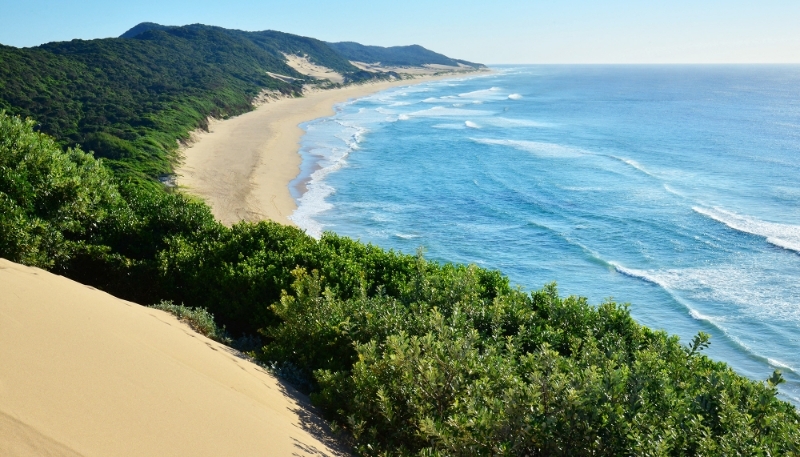 Sand dunes in the KwaZulu-Natal province, near Richards Bay, South Africa. 