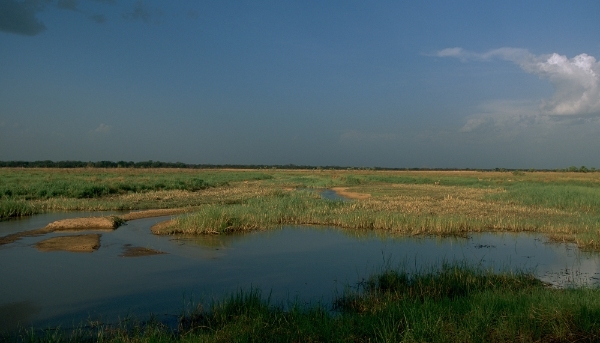 View of the Manovo-Gounda Park in the Central African Republic.