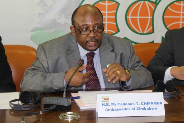 Zimbabwe's new ambassador to the United States, Tadeus Chifamba, has so far represented his country to European institutions.